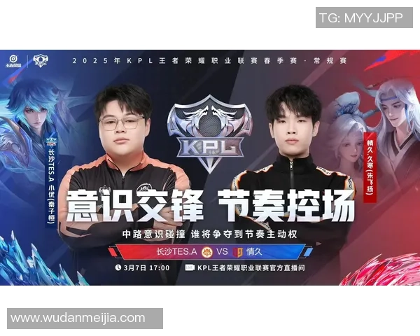 王者荣耀战术排行榜揭晓TES战队荣登第三名引发热议